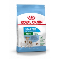 ROYAL CANIN MINI STARTER 8kg