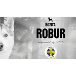 BOZITA ROBUR SENSITIVE