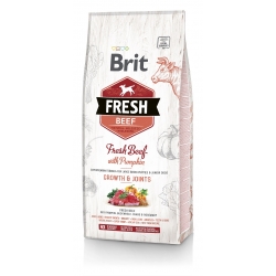 BRIT FRESH WOŁOWINA Z DYNIĄ DLA SZCZENIĄT RAS DUŻYCH 2,5KG