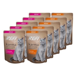 RAFI CAT MIX DLA KOTA 10X100 g