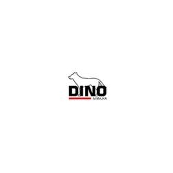 DINO