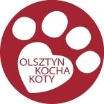 OLSZTYN KOCHA KOTY