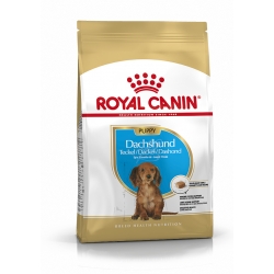 ROYAL CANIN DACHSHUND PUPPY 1.5kg