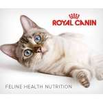 ROYAL CANIN FELINE CARE NUTRITION