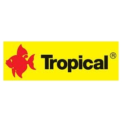 TROPICAL